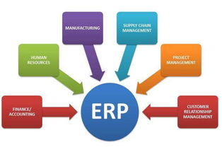 企業資源規劃（ERP）系統 企業管理中的優點與缺點